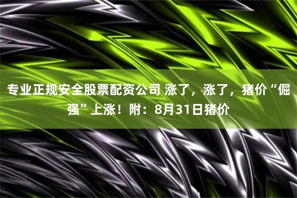 专业正规安全股票配资公司 涨了，涨了，猪价“倔强”上涨！附：8月31日猪价