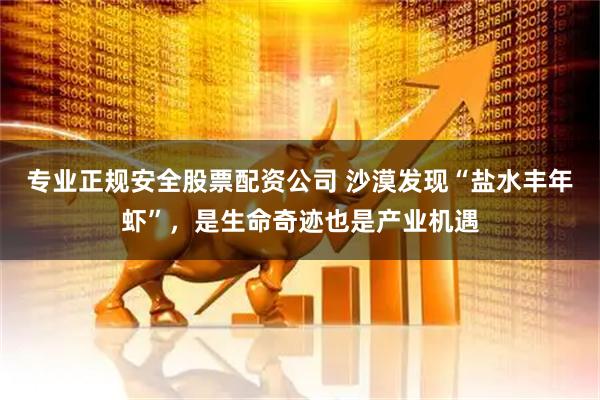 专业正规安全股票配资公司 沙漠发现“盐水丰年虾”，是生命奇迹也是产业机遇