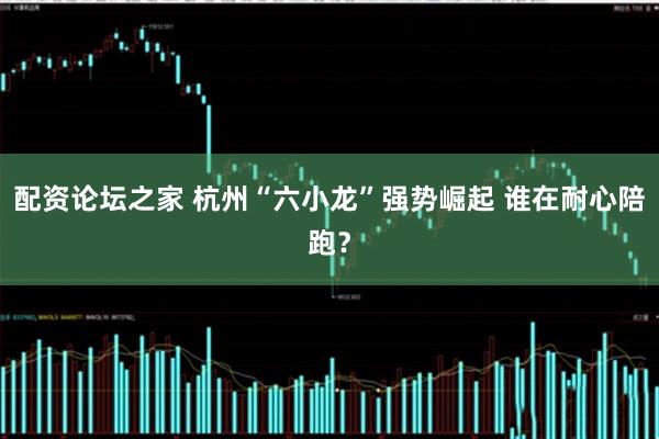 配资论坛之家 杭州“六小龙”强势崛起 谁在耐心陪跑?
