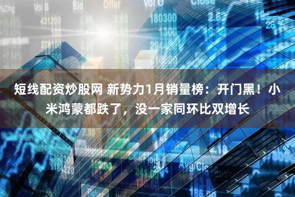 短线配资炒股网 新势力1月销量榜：开门黑！小米鸿蒙都跌了，没一家同环比双增长