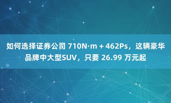 如何选择证券公司 710N·m + 462Ps，这辆豪华品牌中大型SUV，只要 26.99 万元起