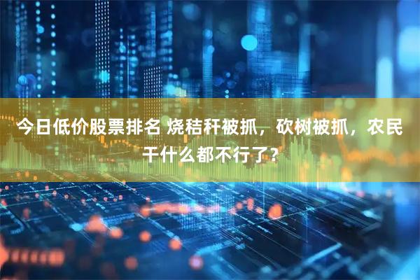 今日低价股票排名 烧秸秆被抓，砍树被抓，农民干什么都不行了？